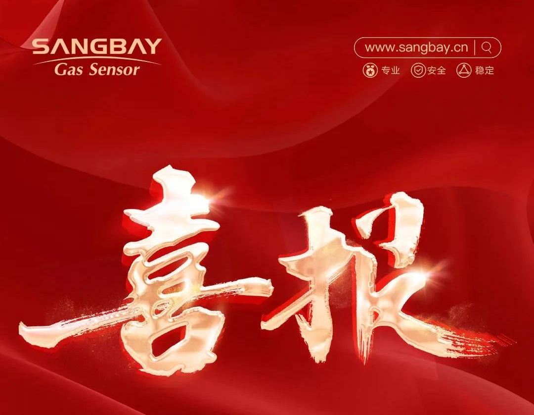 喜報(bào)｜上海松柏傳感獲評(píng)上海市專精特新中小企業(yè)，助力高質(zhì)量發(fā)展！